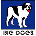 Big Dogs Outlet